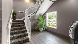 Un escalier recouvert d’une moquette à motifs, une rampe blanche, une plante en pot et une vue sur l’extérieur par une fenêtre.