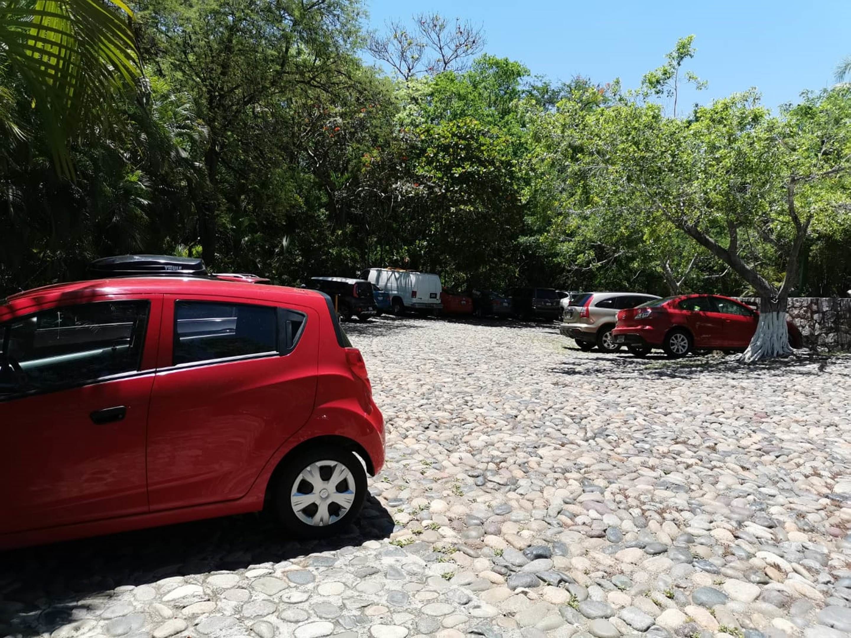 A red car parked on a cobblestone driveway surrounded by trees and other parked vehicles.