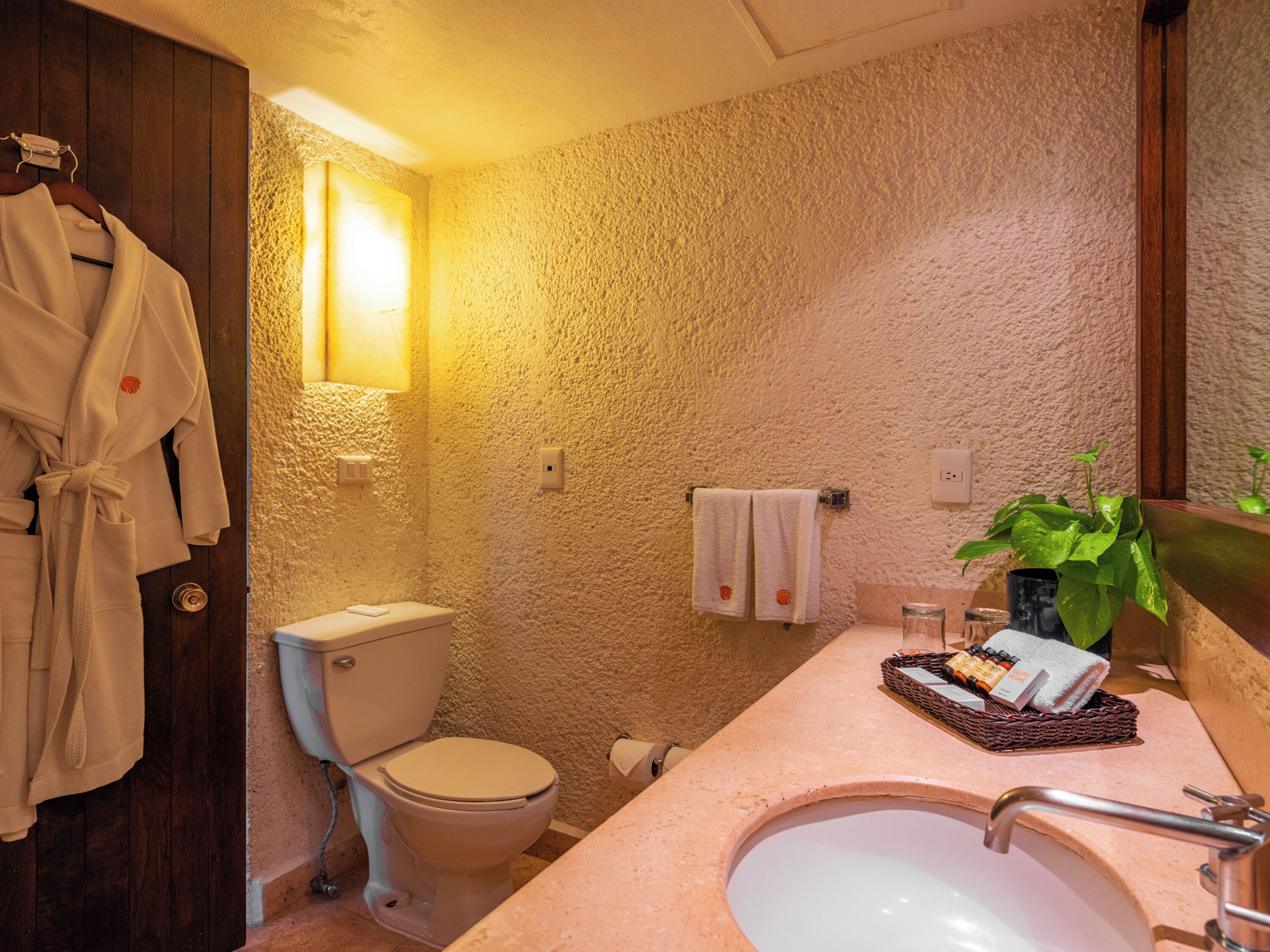 A bathroom with a toilet, sink, and a mirror. There is a towel rack with towels and a plant on the counter.