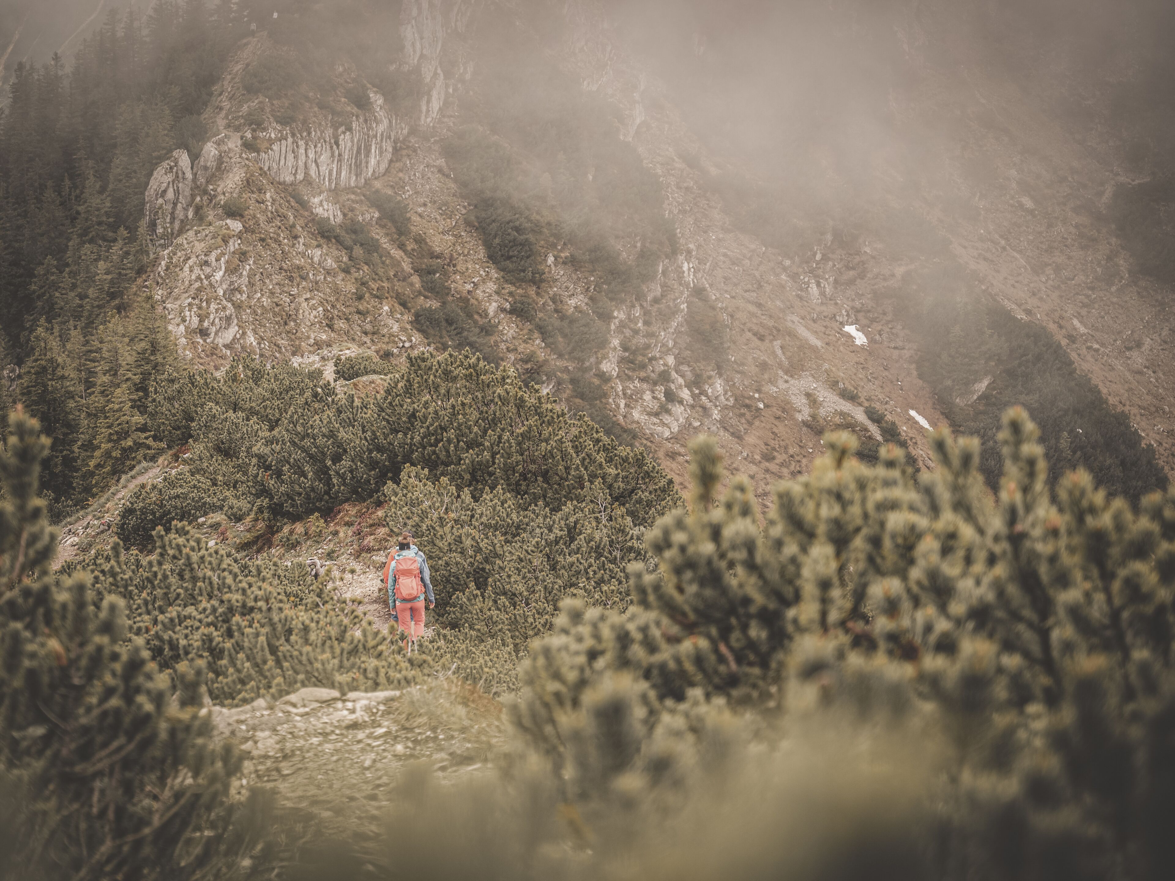 A person in a red outfit walking through a mountainous area with dense vegetation.