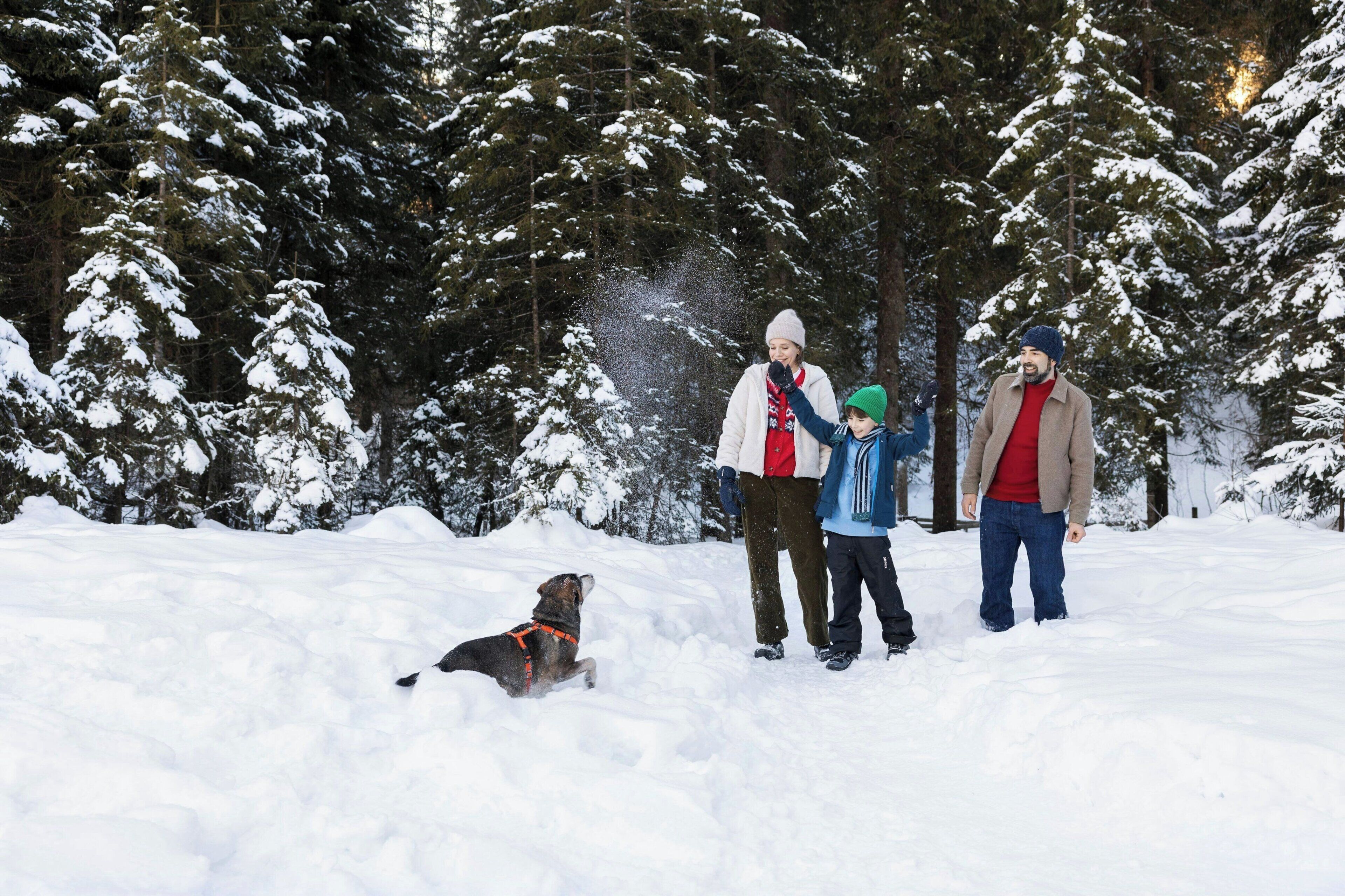 Escena nevada al aire libre con un perro, tres personas y árboles cubiertos de nieve.