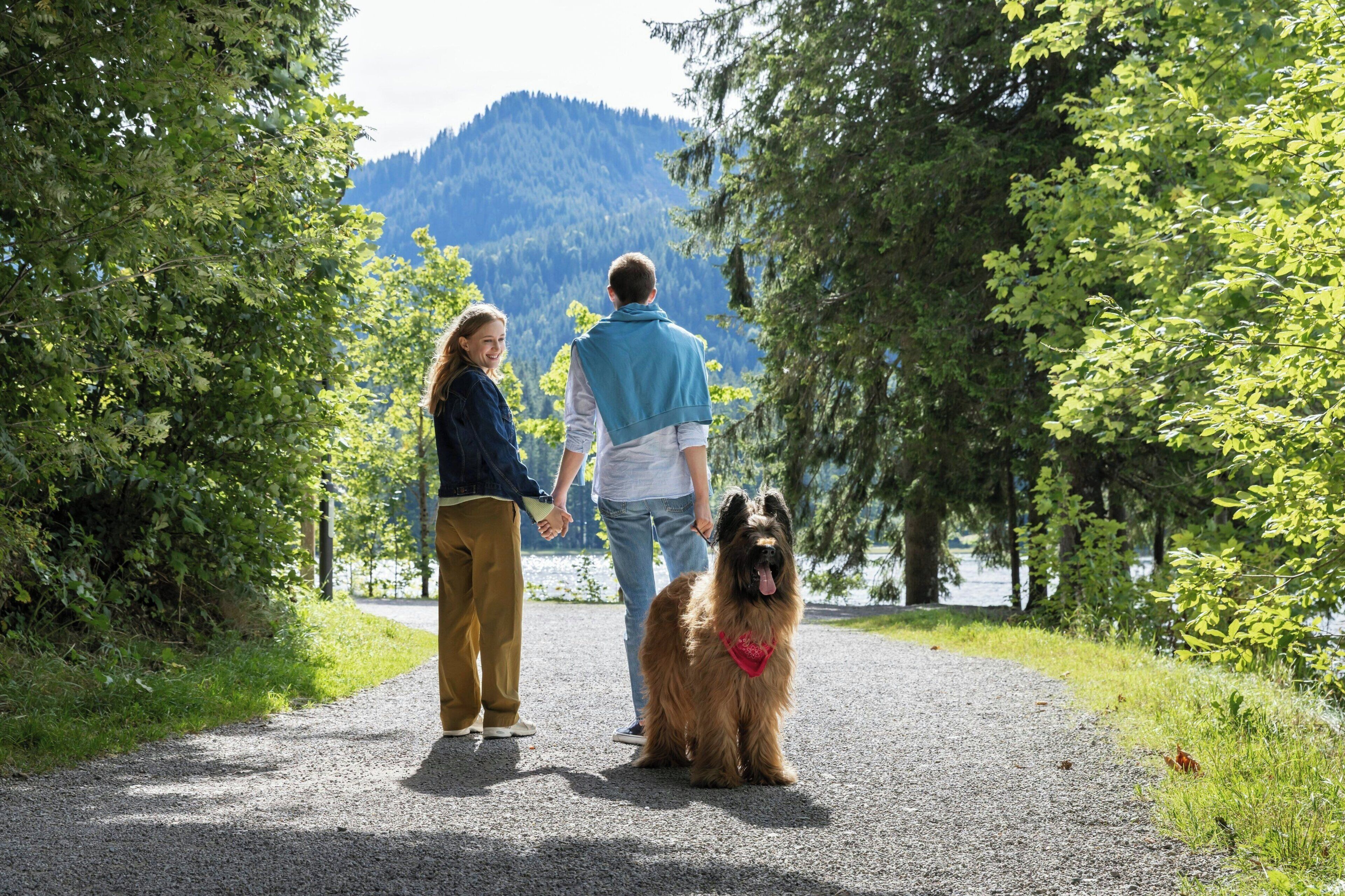 A pathway with a dog and two people walking away from the camera.