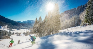 Deportes de invierno y ski