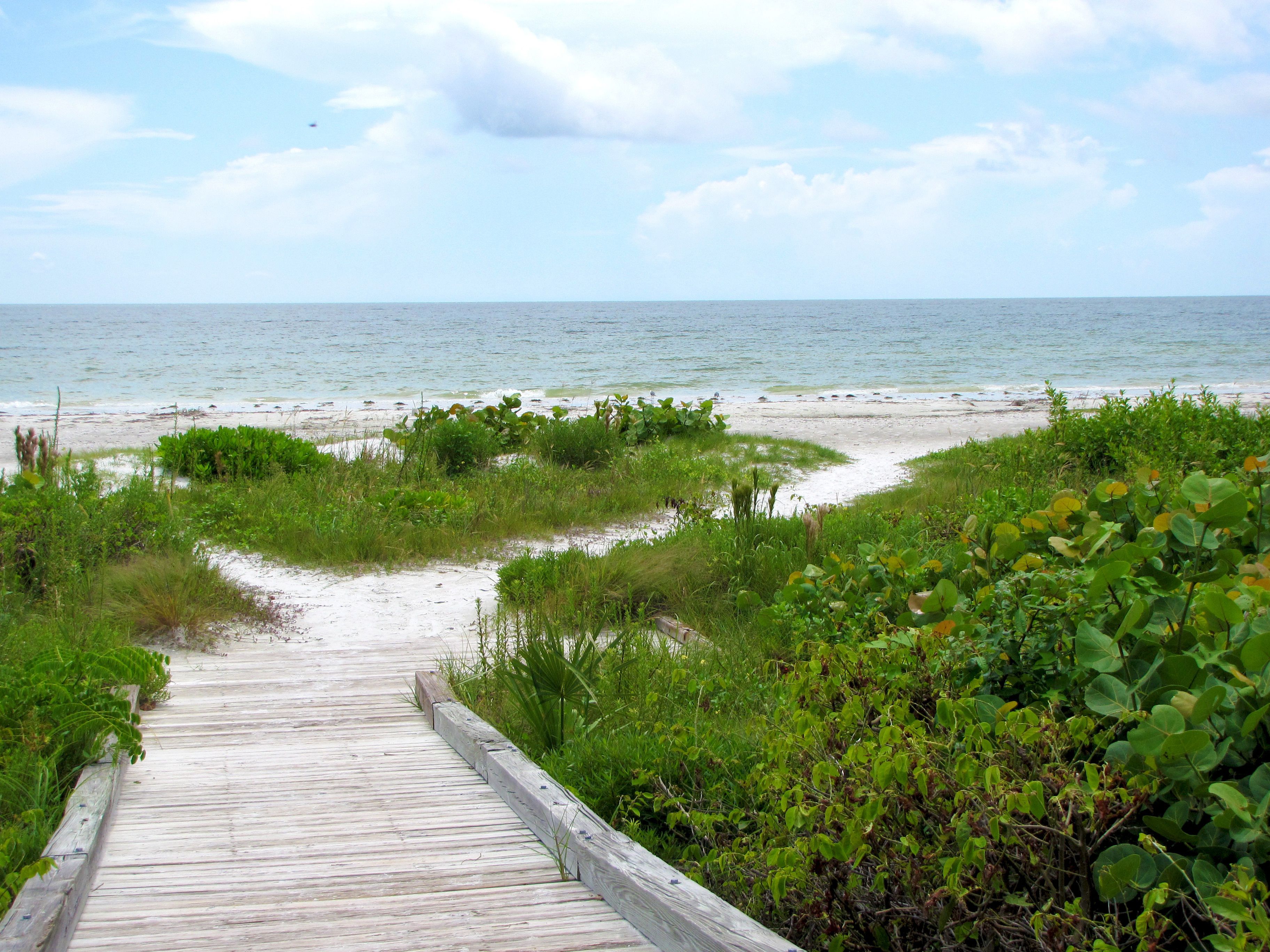 A wooden boardwalk leading to a beach with green vegetation and a clear sky.