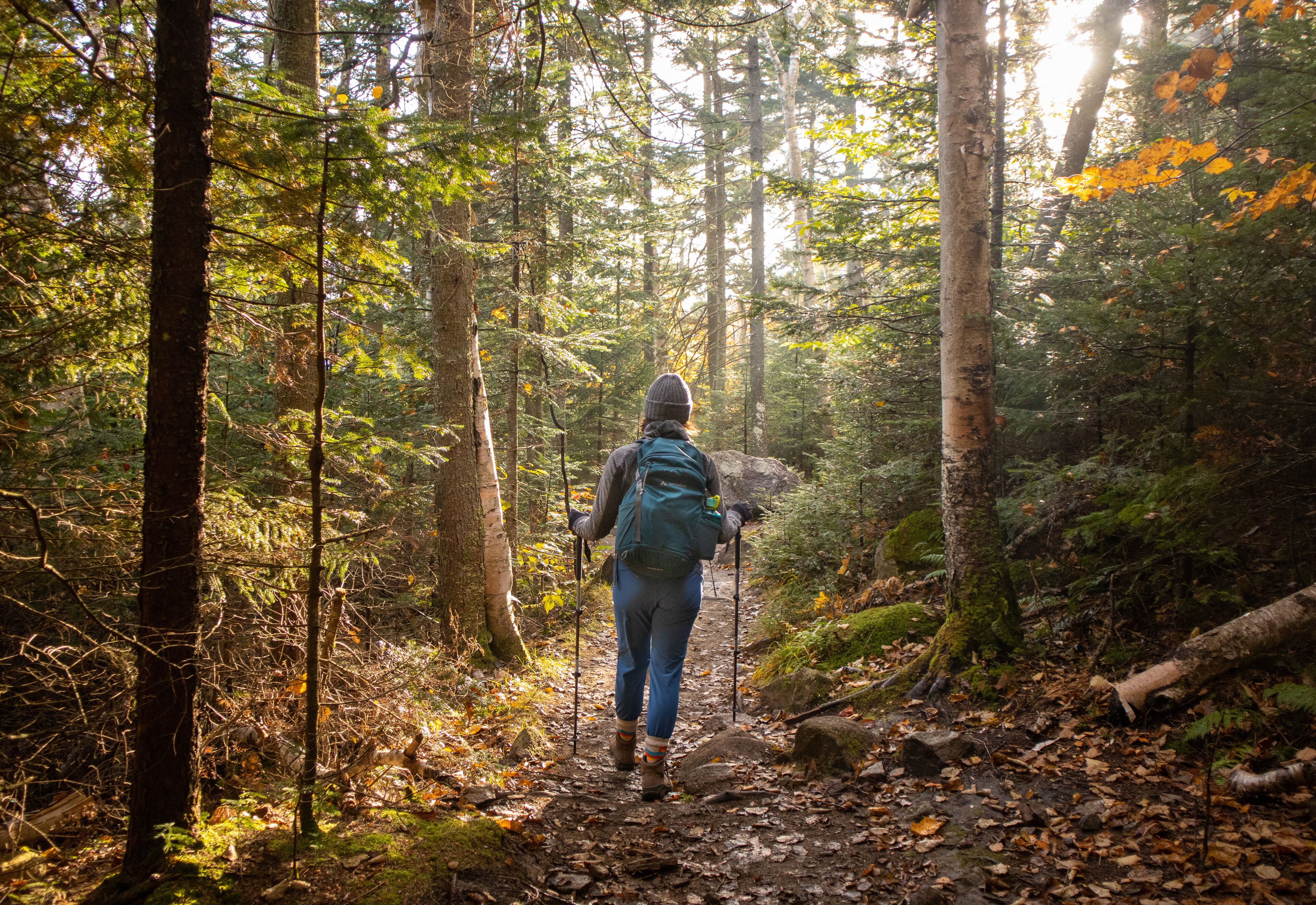 Photo - Bluebird Cady Hill Lodge