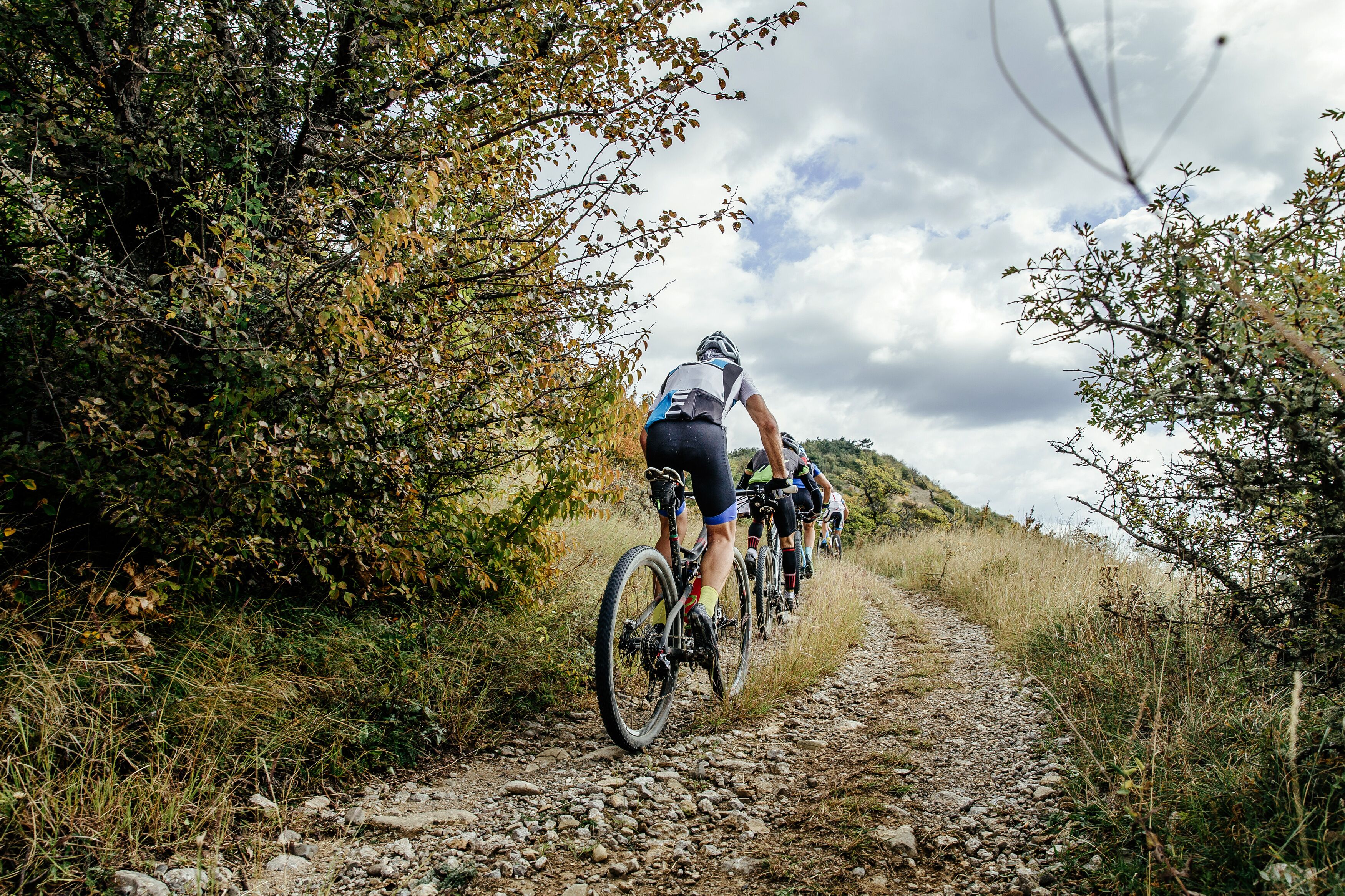 A group of cyclists on a gravel path surrounded by trees and vegetation.