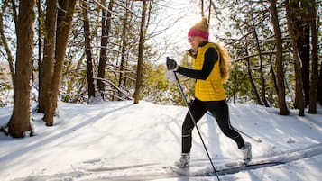 A person cross-country skiing through a snowy forest.