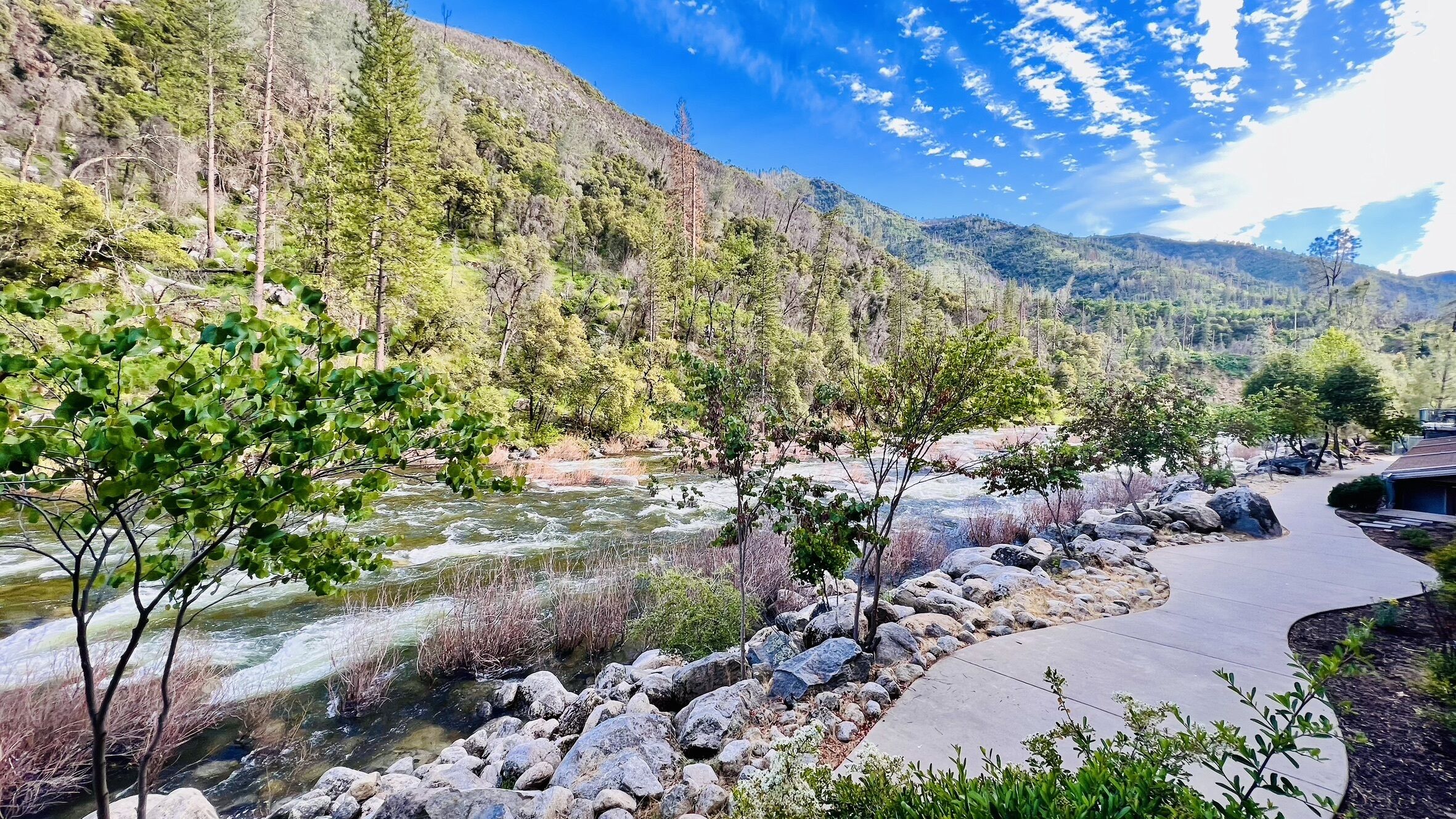 classic river view 2 room unit, family apartment | balcony view