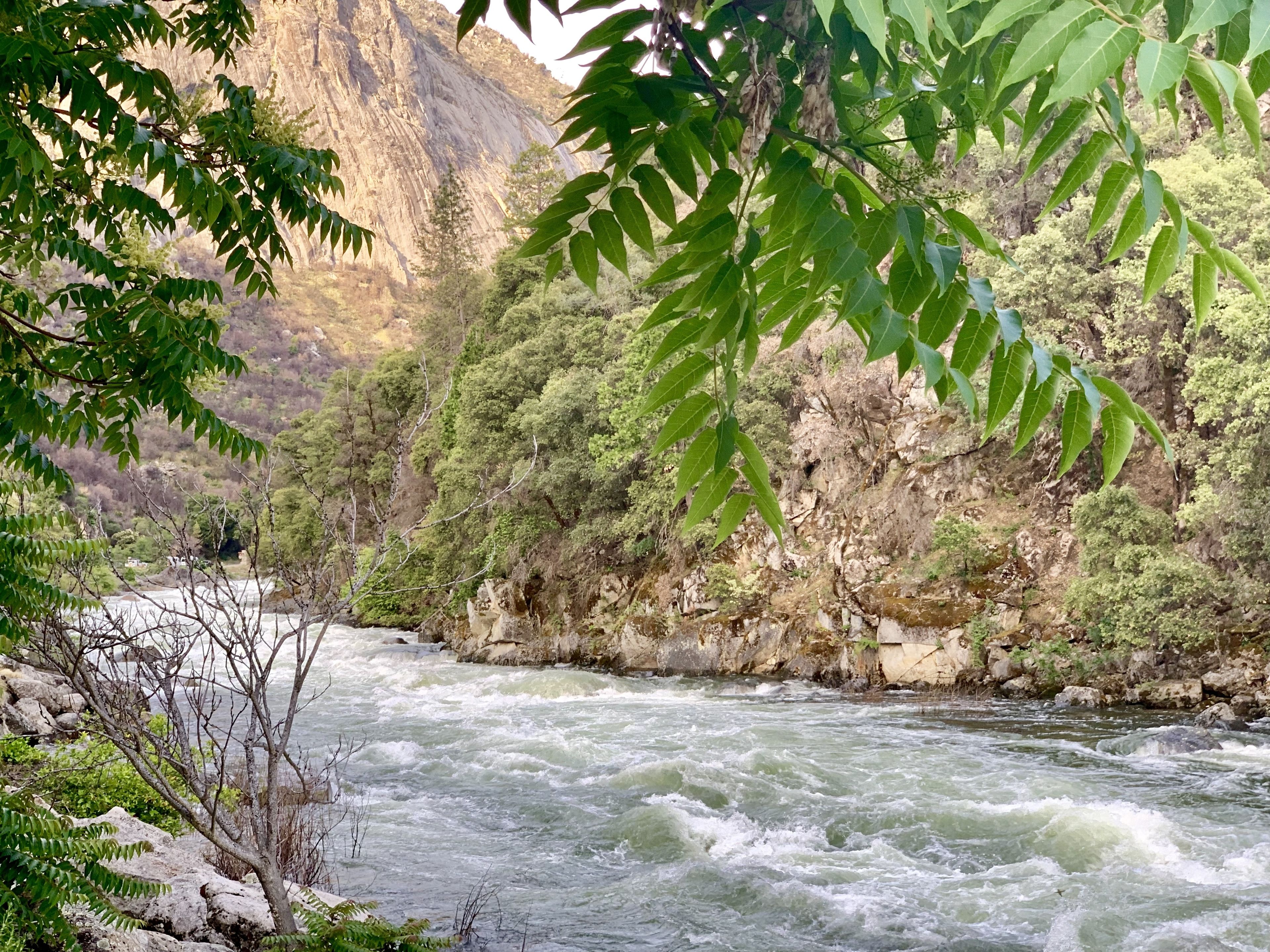 deluxe river view king spa | view from room