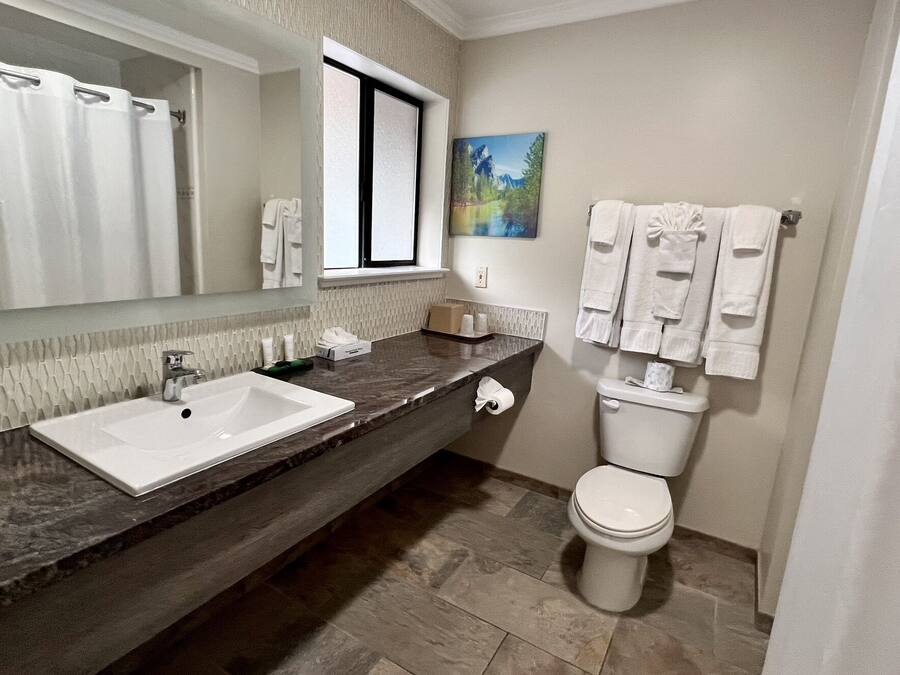 A bathroom with a white sink, a toilet, and a large mirror. There are towels hanging on the wall and a painting above the toilet.