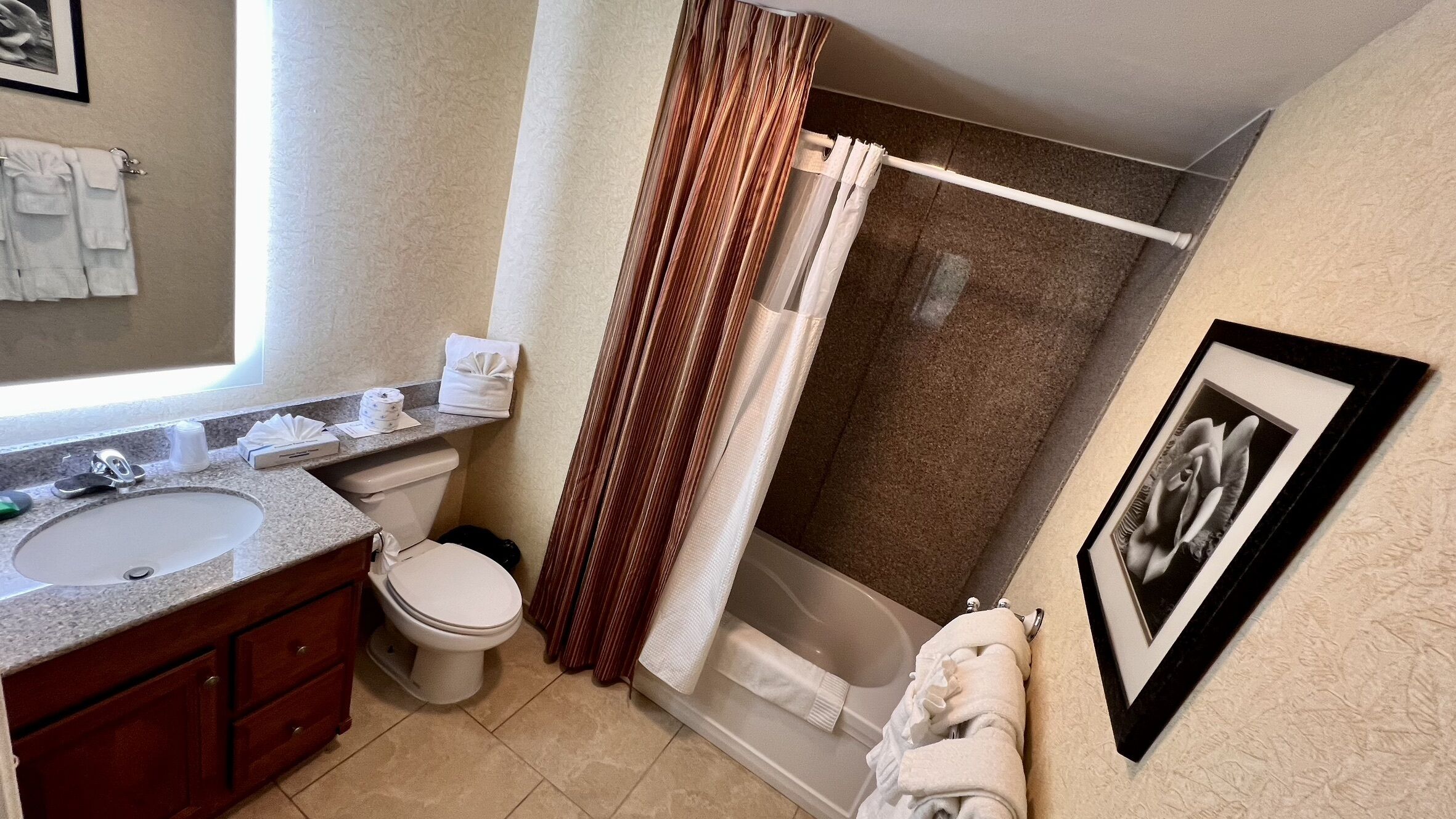 Een badkamer met een wastafel, toilet, douche en een fotolijst aan de muur.