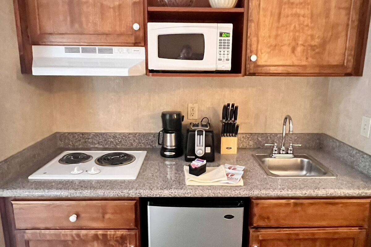 classic river view 2 room unit, family apartment | private kitchenette | fridge, microwave, coffee/tea maker, toaster