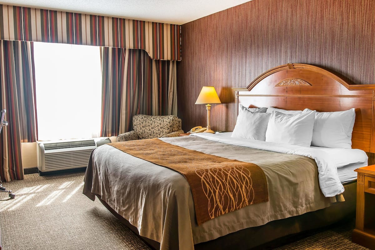 Standard Room, 1 King Bed, Non Smoking | Desk, laptop workspace, blackout drapes, iron/ironing board