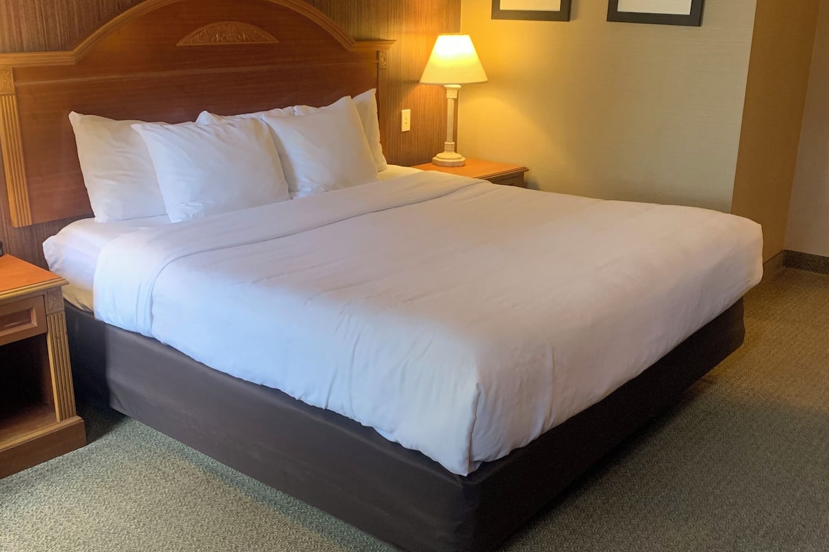 Room, 1 King Bed, Accessible, Non Smoking | Desk, laptop workspace, blackout drapes, iron/ironing board
