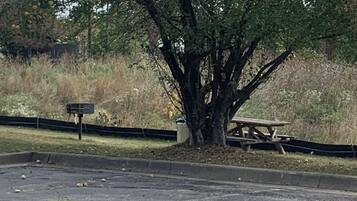 BBQ/picnic area
