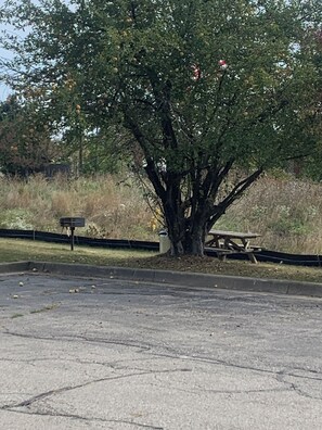 BBQ/picnic area