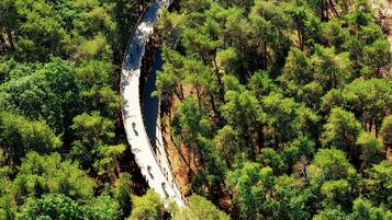 An aerial view of a winding road through a dense forest.