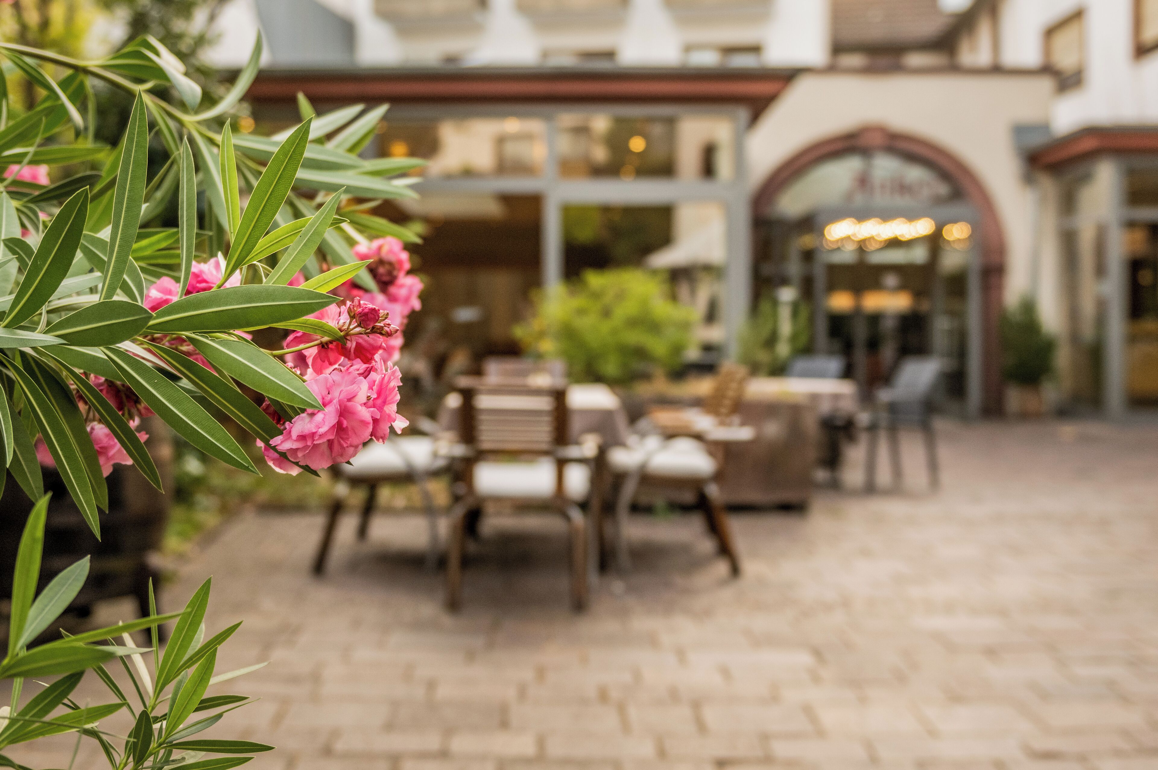 A patio area with outdoor seating and a building entrance in the background.