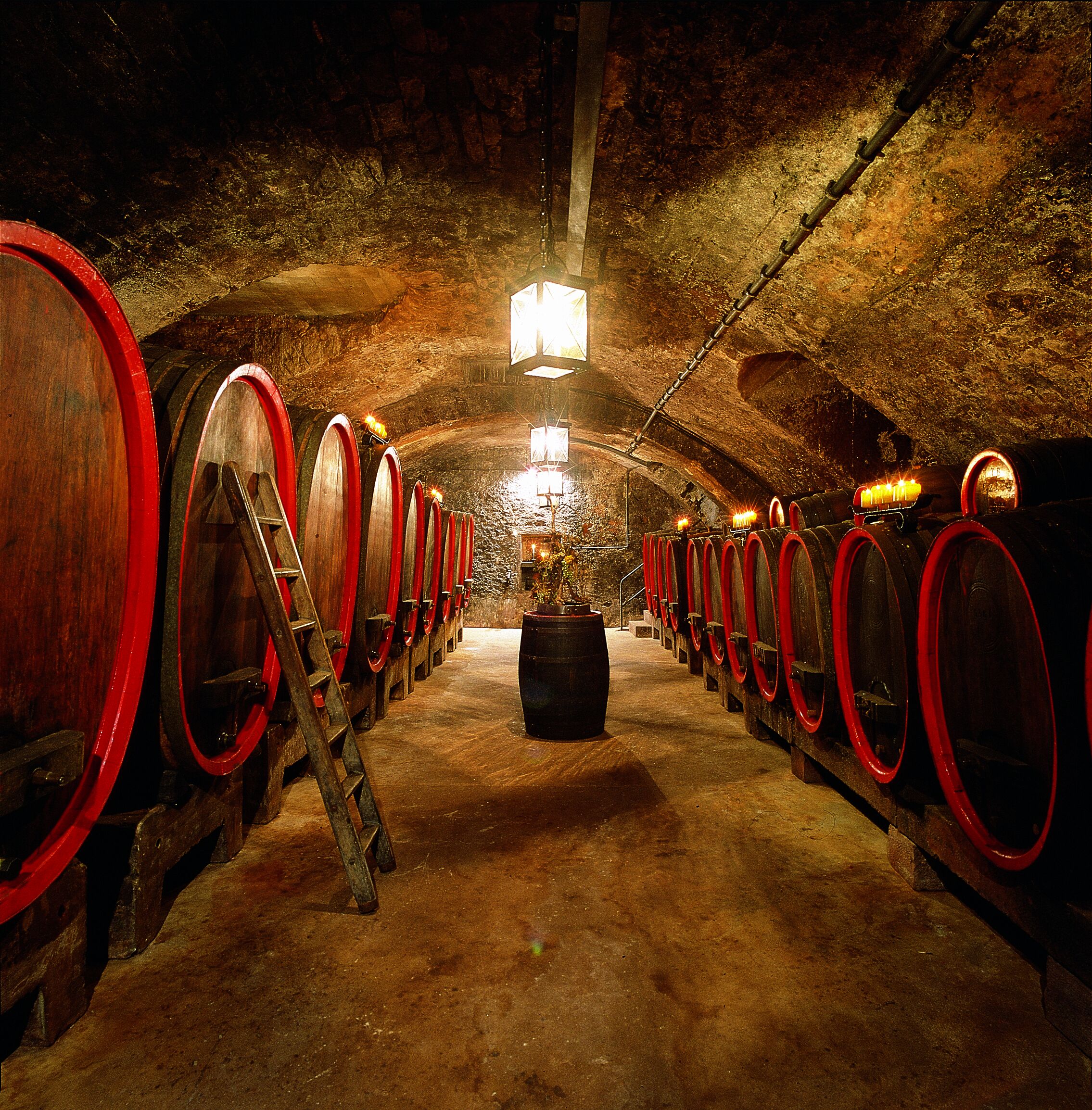 A wine cellar with rows of wooden barrels, a ladder, and a central light fixture.