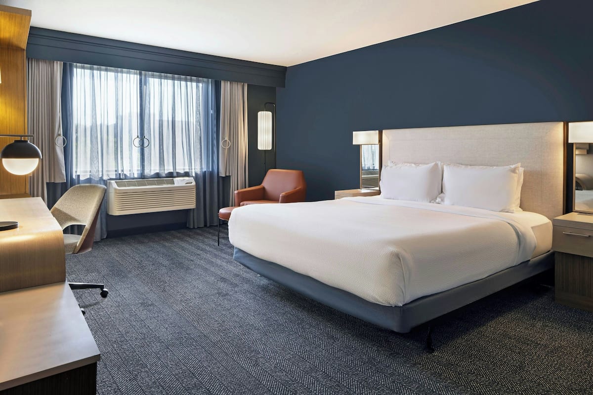 Studio, 1 King Bed with Sofa bed