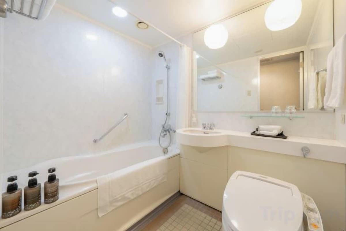 Combined shower/tub, free toiletries, hair dryer, slippers