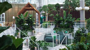 Jardín interior de varios niveles con escalera de madera, zonas de estar y plantas en macetas.