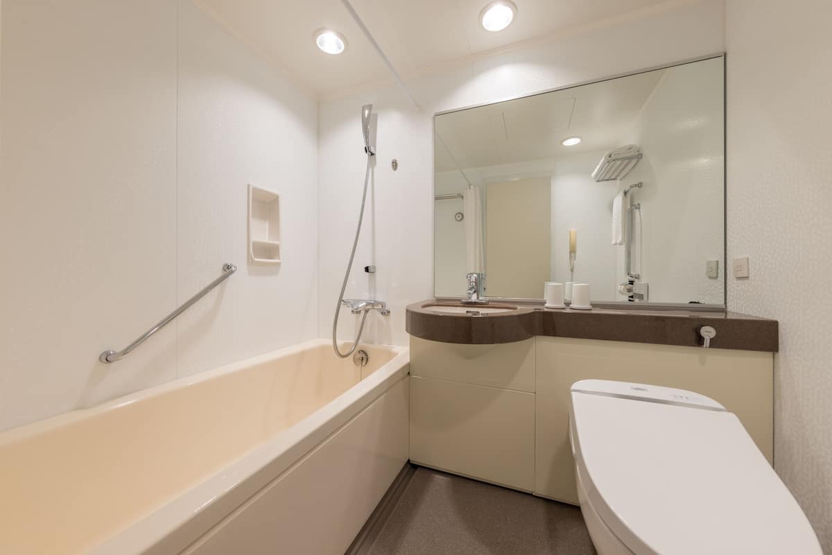 combined shower/bathtub, deep-soaking bathtub, hydromassage showerhead