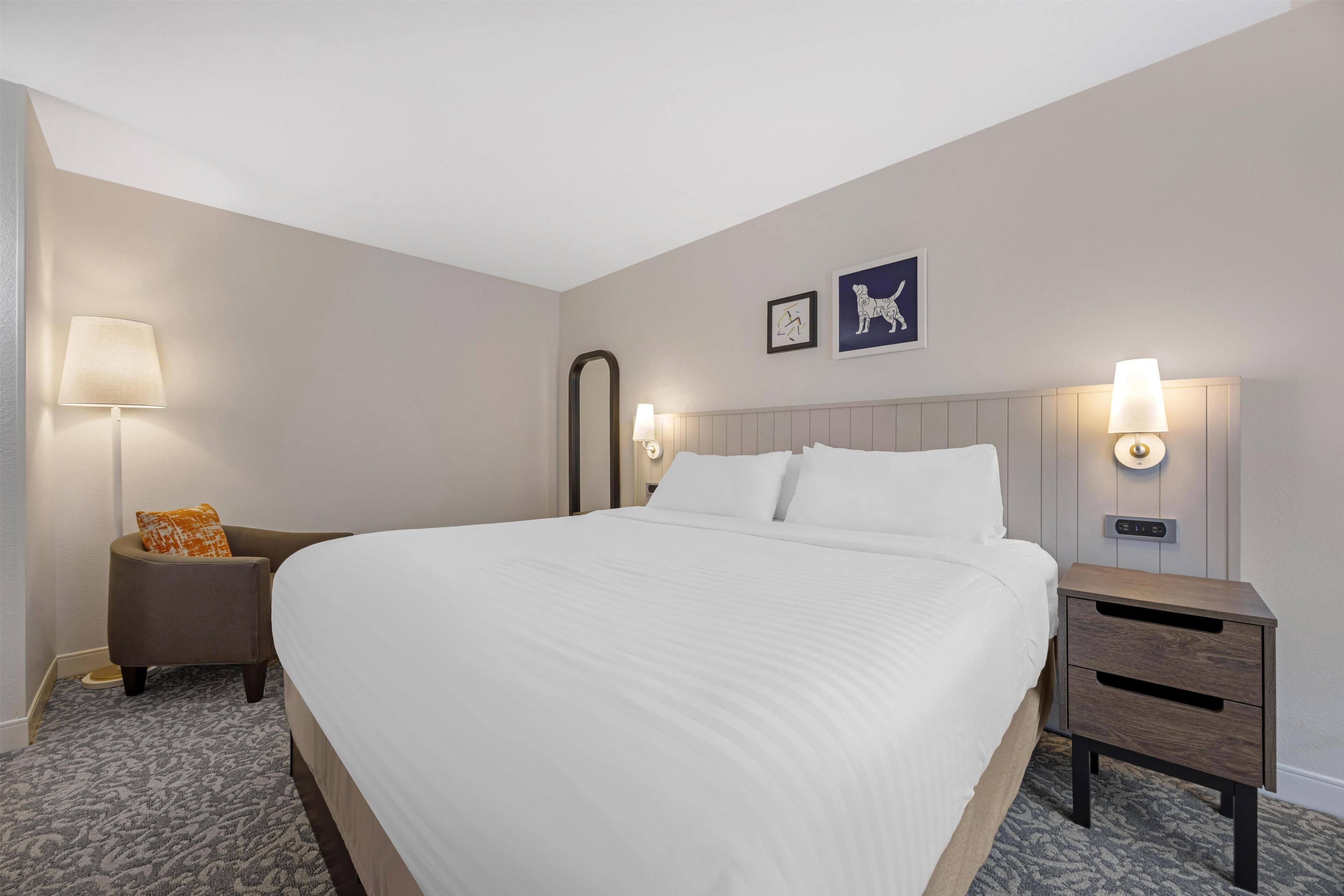 A hotel room with a large bed, a bedside table, a nightstand, a lamp, a chair, and a carpeted floor.