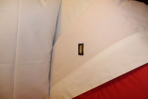 Basic Single Room, 1 Bedroom