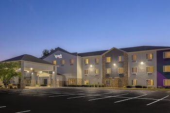 Spark by Hilton Ames