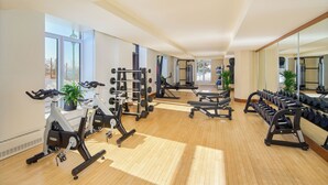 A gym with exercise equipment, large windows, and potted plants. - Fairmont Le Manoir Richelieu (La Malbaie)