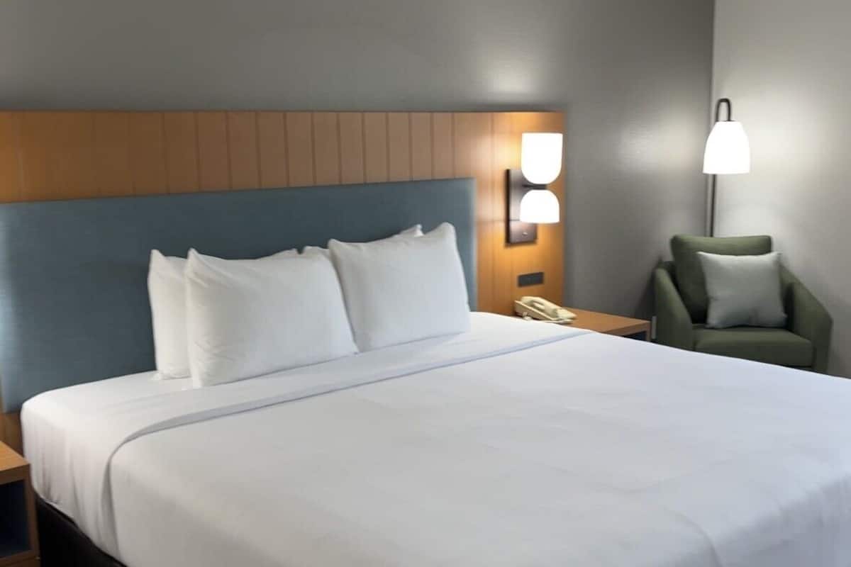 Room, 1 King Bed, Accessible, Non Smoking (Roll-in Shower) | In-room safe, desk, iron/ironing board, free cribs/infant beds