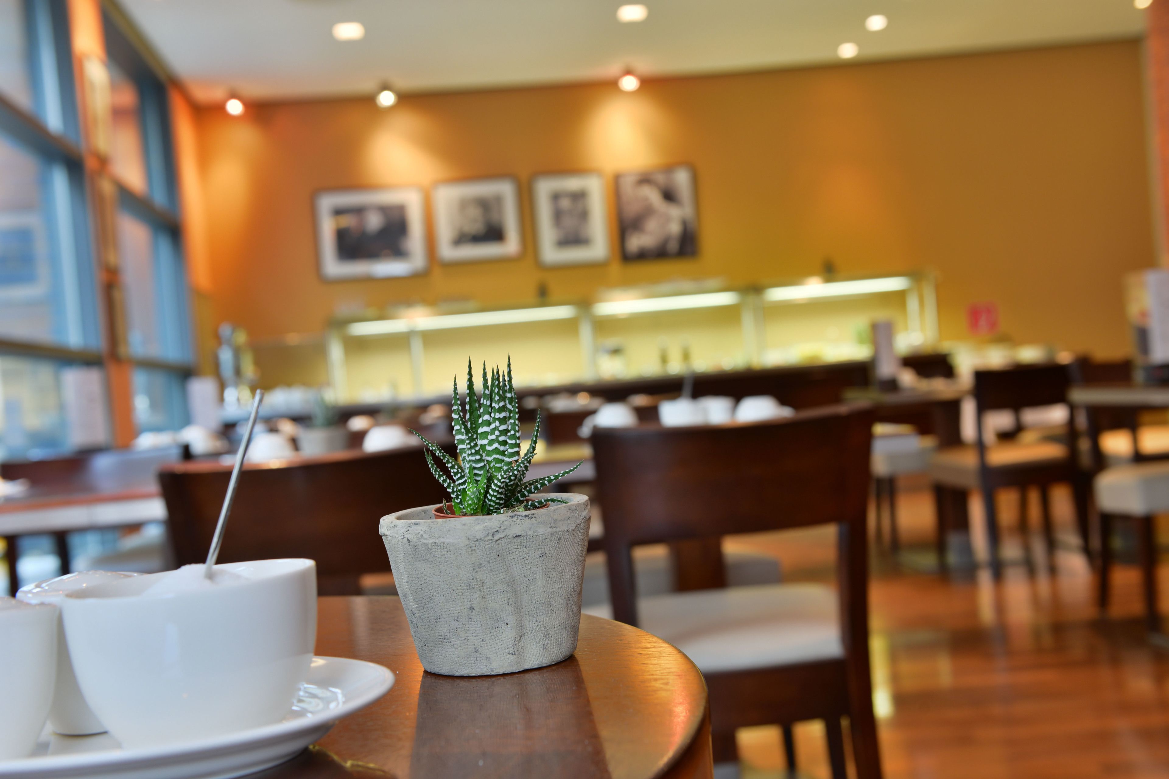A dining area with tables, chairs, and a potted plant.