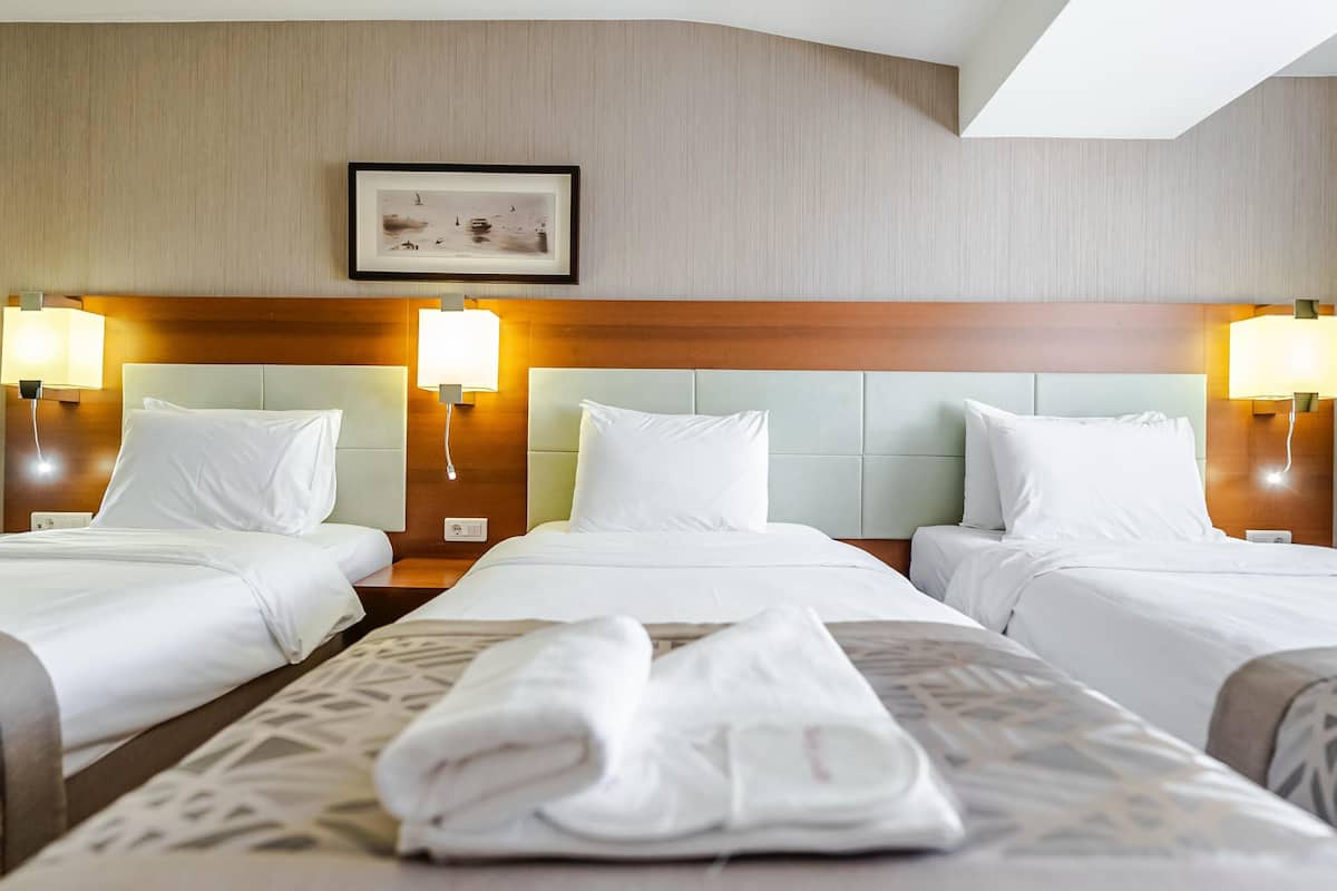 Minibar, coffres-forts dans les chambres, bureau, rideaux occultants