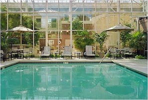 Outdoor pool, pool umbrellas