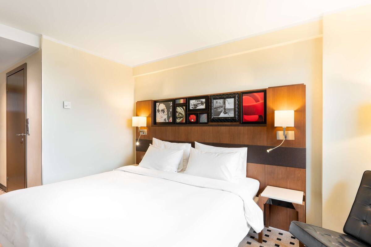 Habitación estándar | Ropa de cama hipoalergénica, edredón y minibar