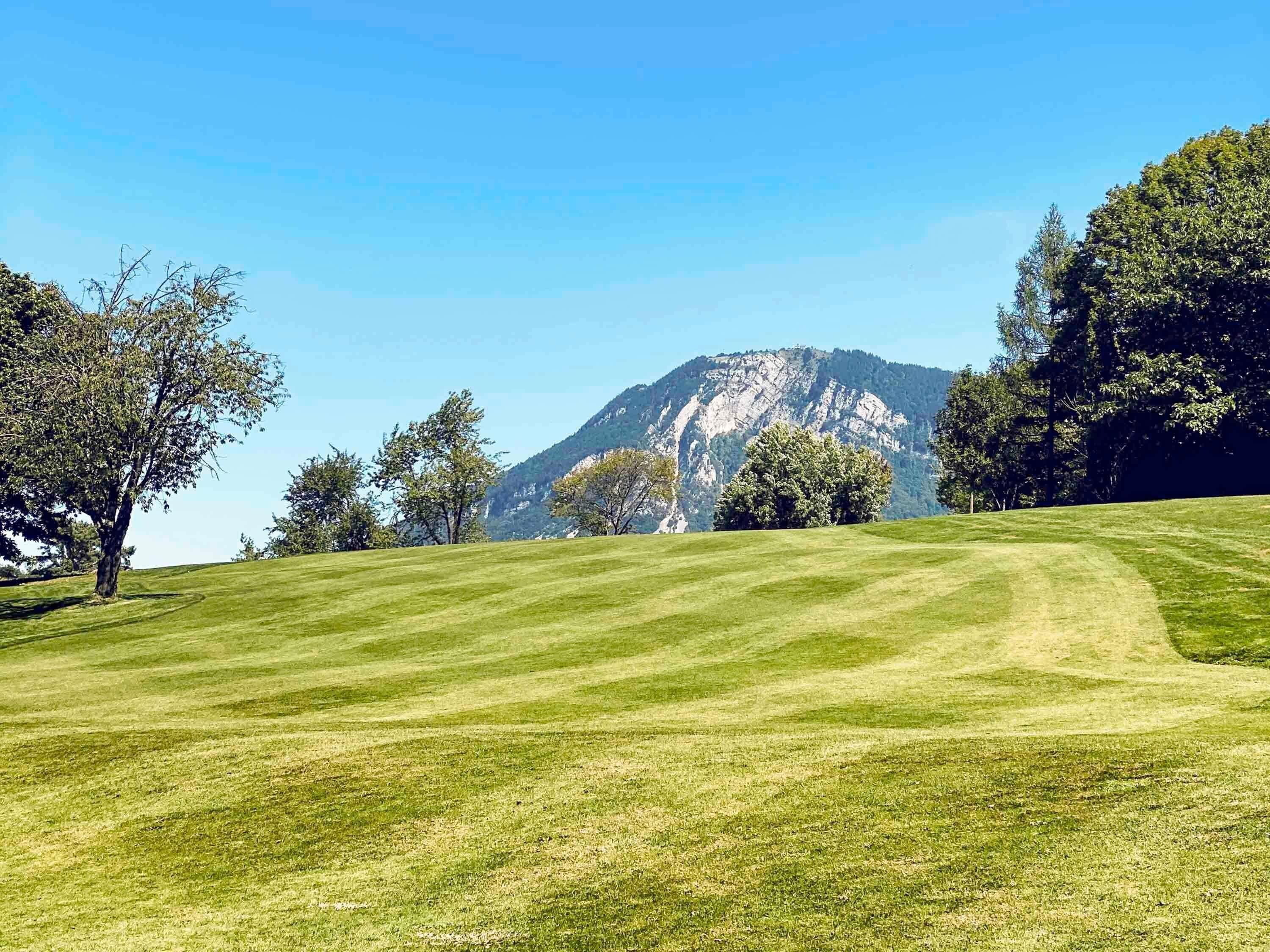 Un prato erboso con alberi e una montagna sullo sfondo.