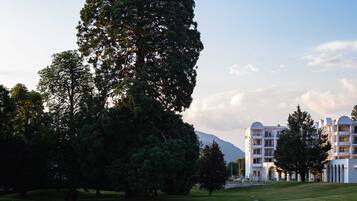 A grassy park area with a large tree and a building in the background.