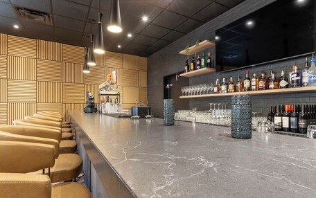 A bar area with a long counter, seating, and shelves of bottles and glasses.