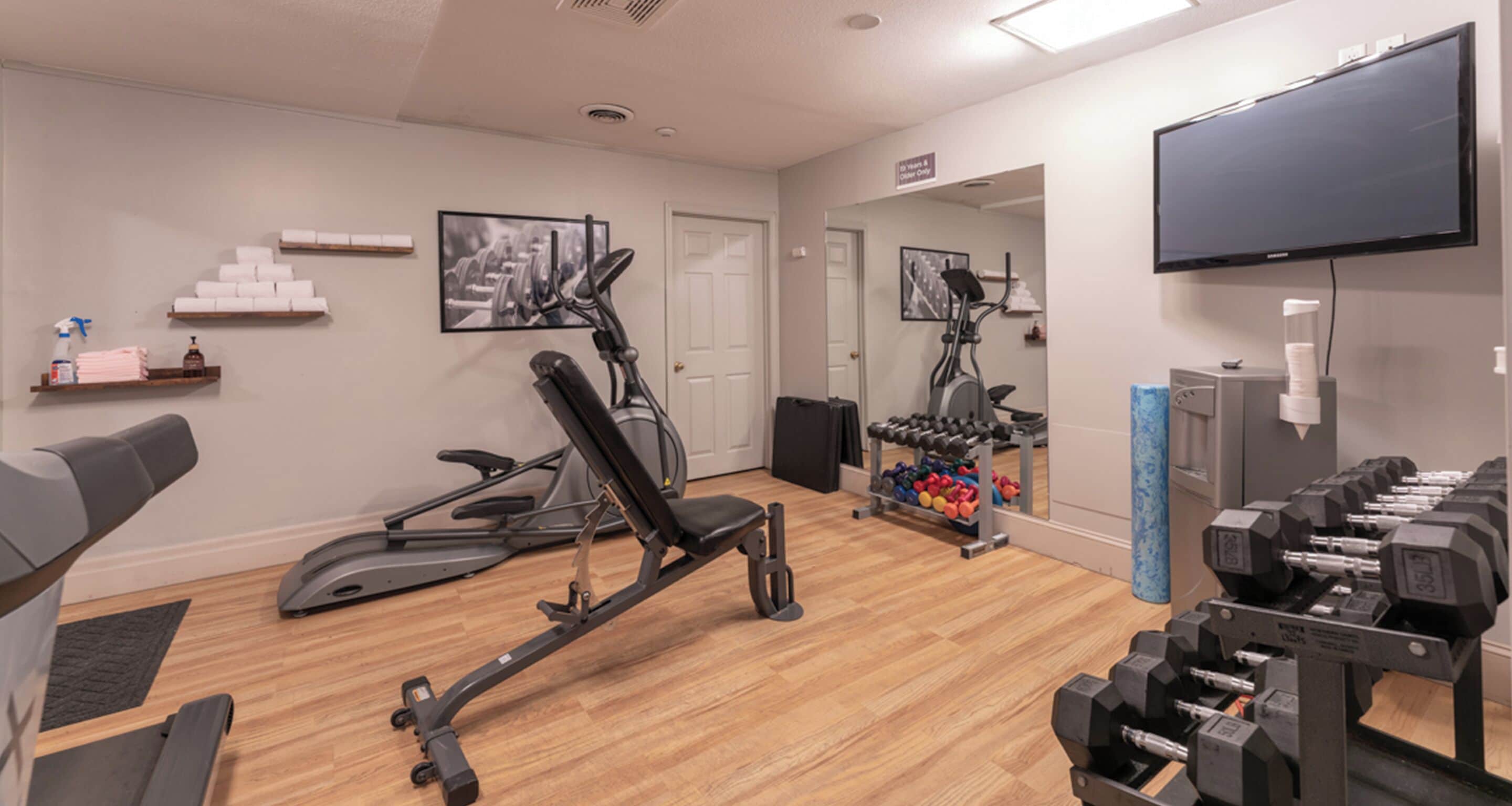 A home gym with exercise equipment, a television, and a mirror.