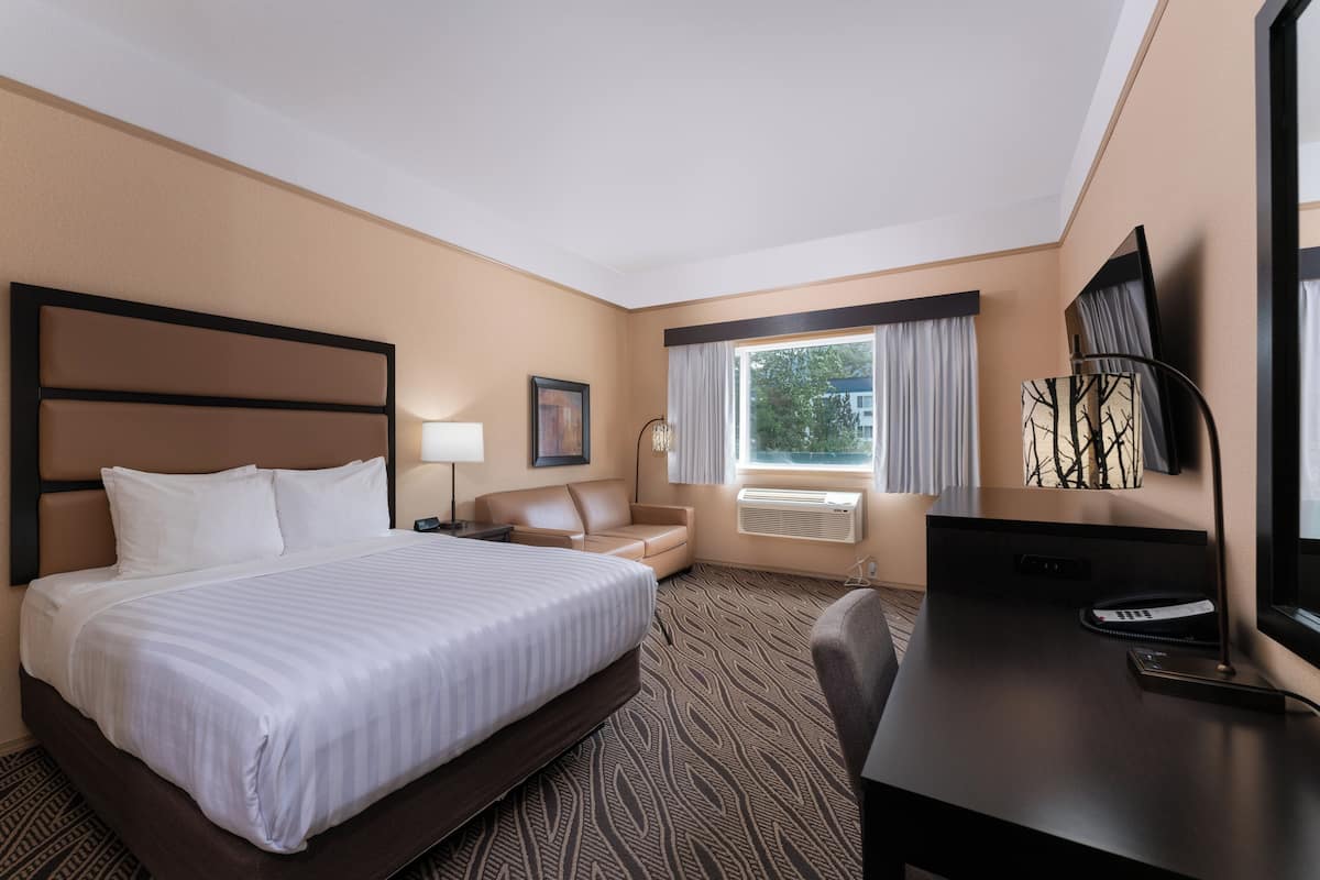 A hotel room with a large bed, a desk, a chair, a TV, and a window with curtains.