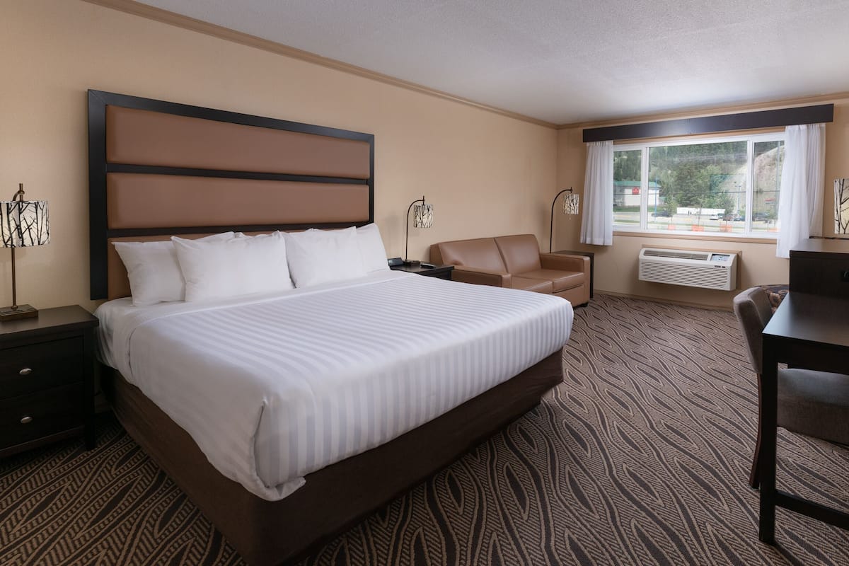 A hotel room with a large bed, a desk, a chair, a TV, a window with curtains, and a radiator.