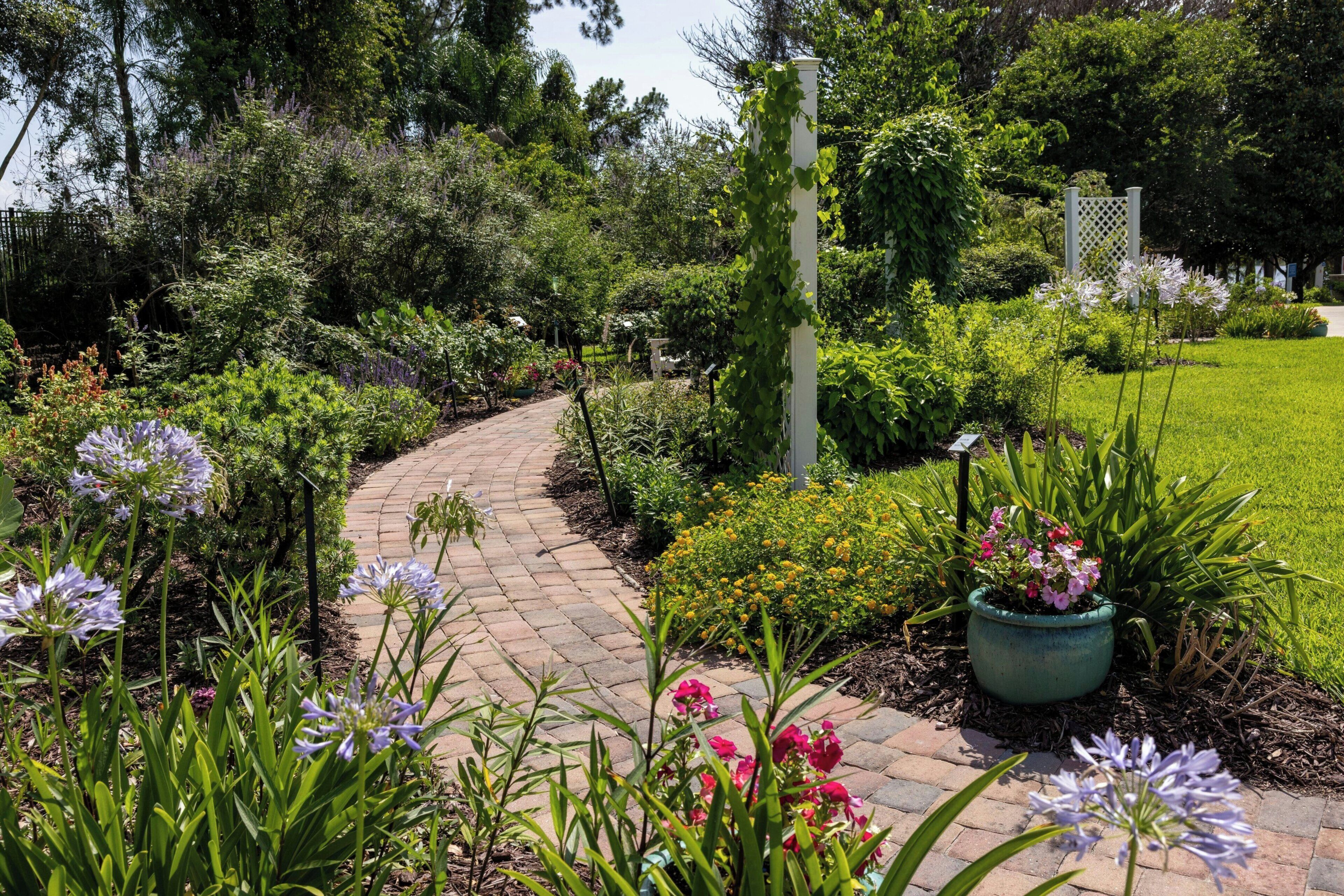 Ein Gartenweg mit verschiedenen Pflanzen und Blumen.