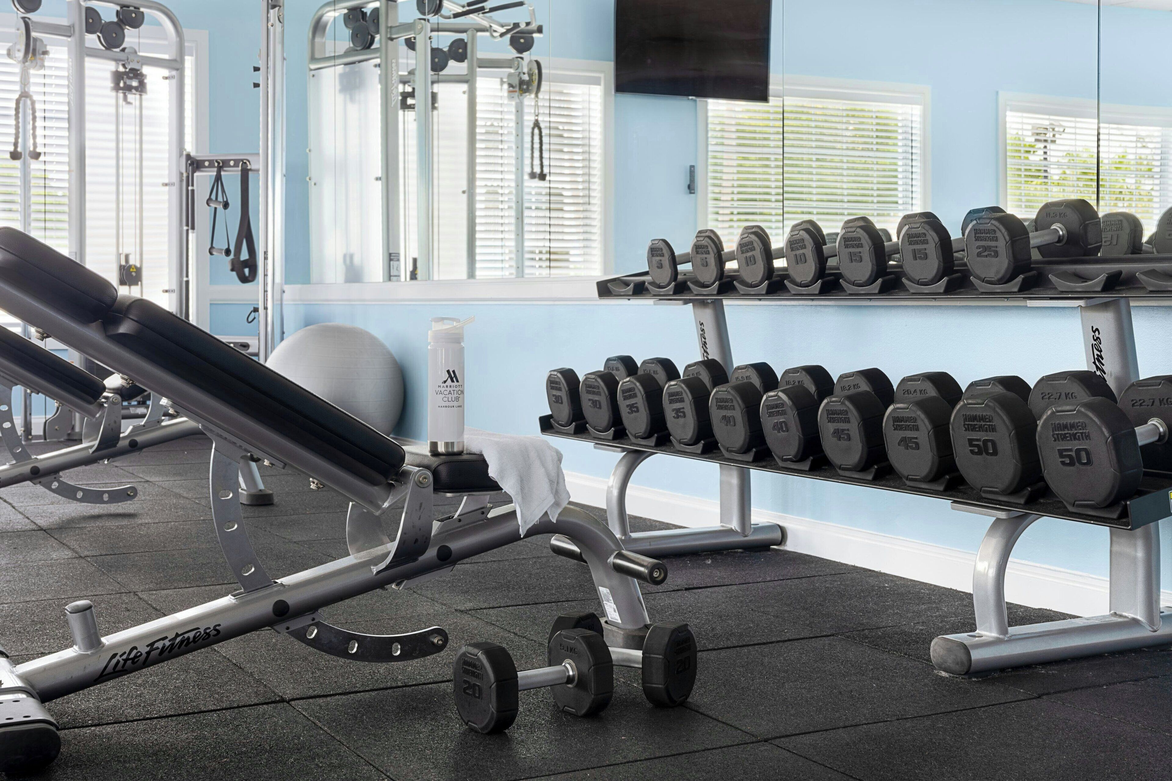 Un gimnasio con equipo de ejercicio, incluyendo mancuernas y una banca.