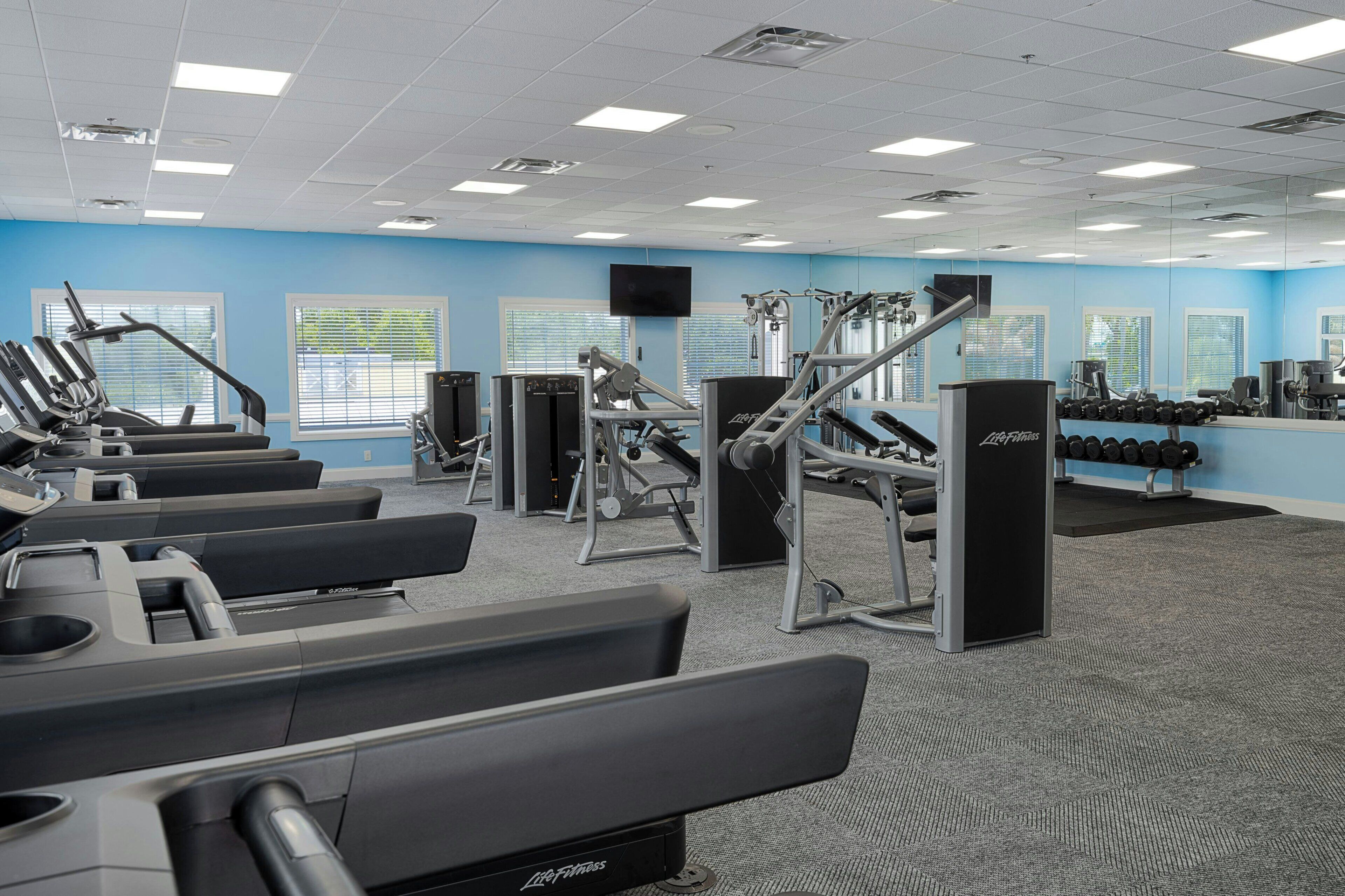 Un gimnasio con máquinas de cardio, estaciones de pesas y mancuernas.