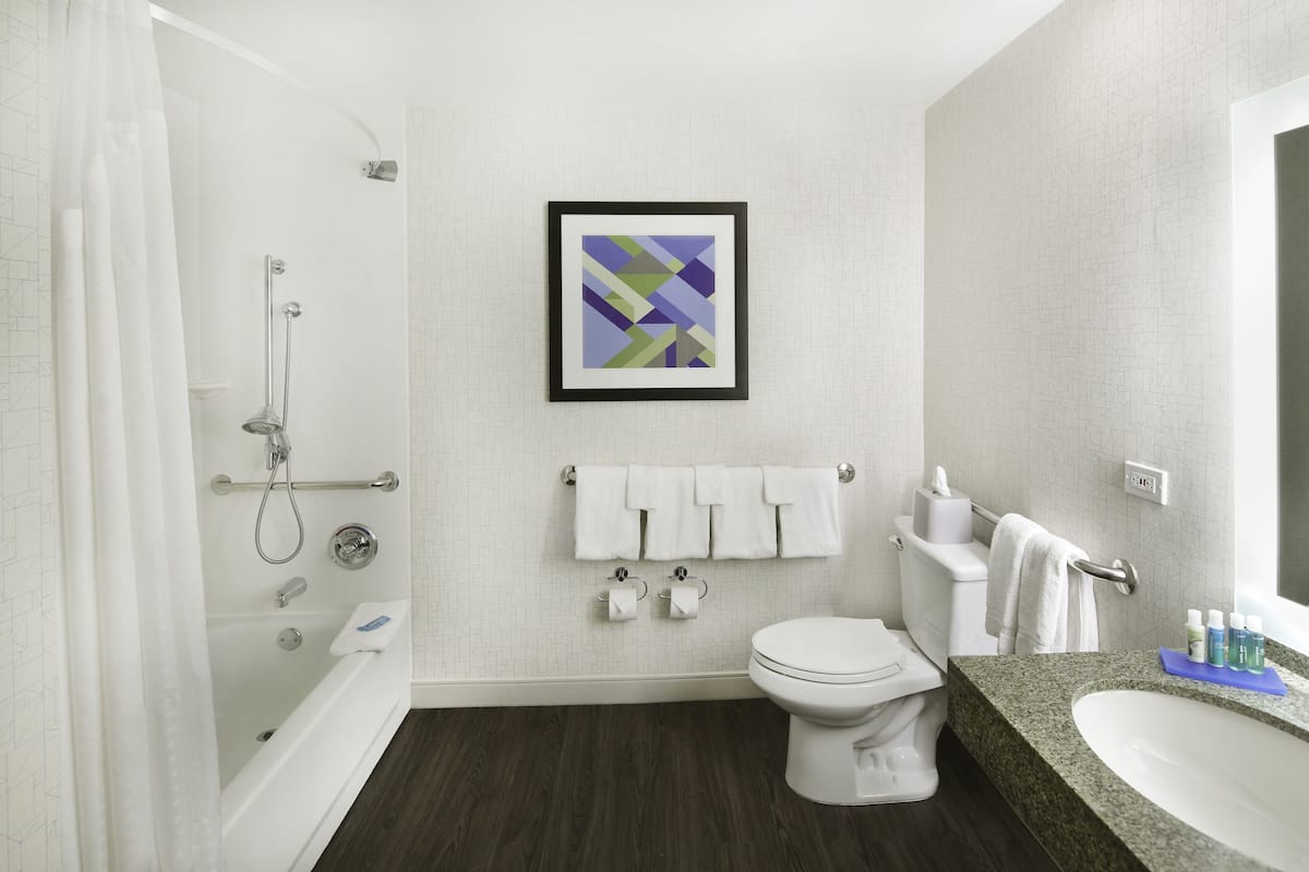 combined shower/bathtub, free toiletries, hair dryer, towels