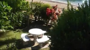 Vistas desde el alojamiento