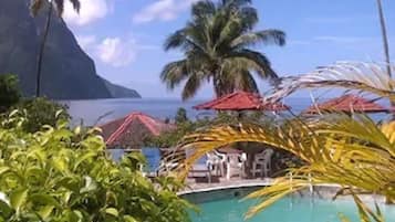Outdoor pool, pool umbrellas, sun loungers