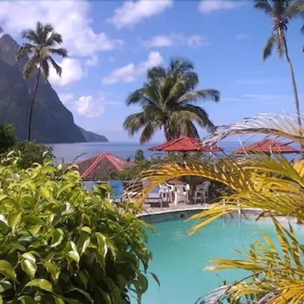 Outdoor pool, pool umbrellas, sun loungers