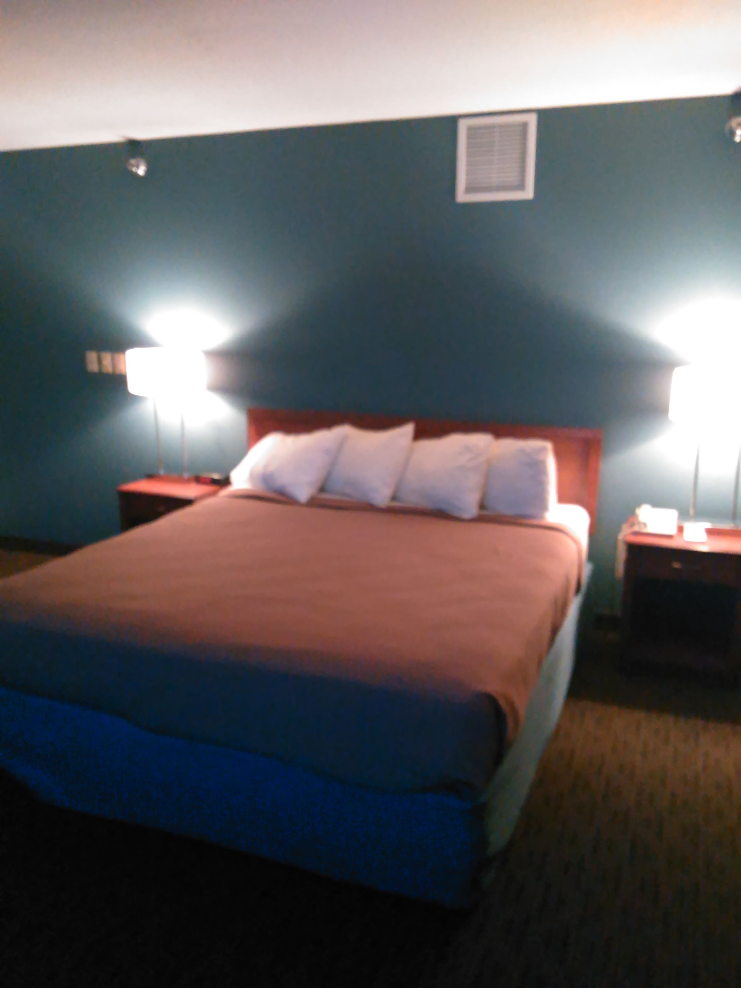 room, 1 king bed, accessible, non smoking | view from room